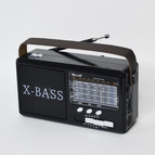 Радио Golon RX-66 glossy black